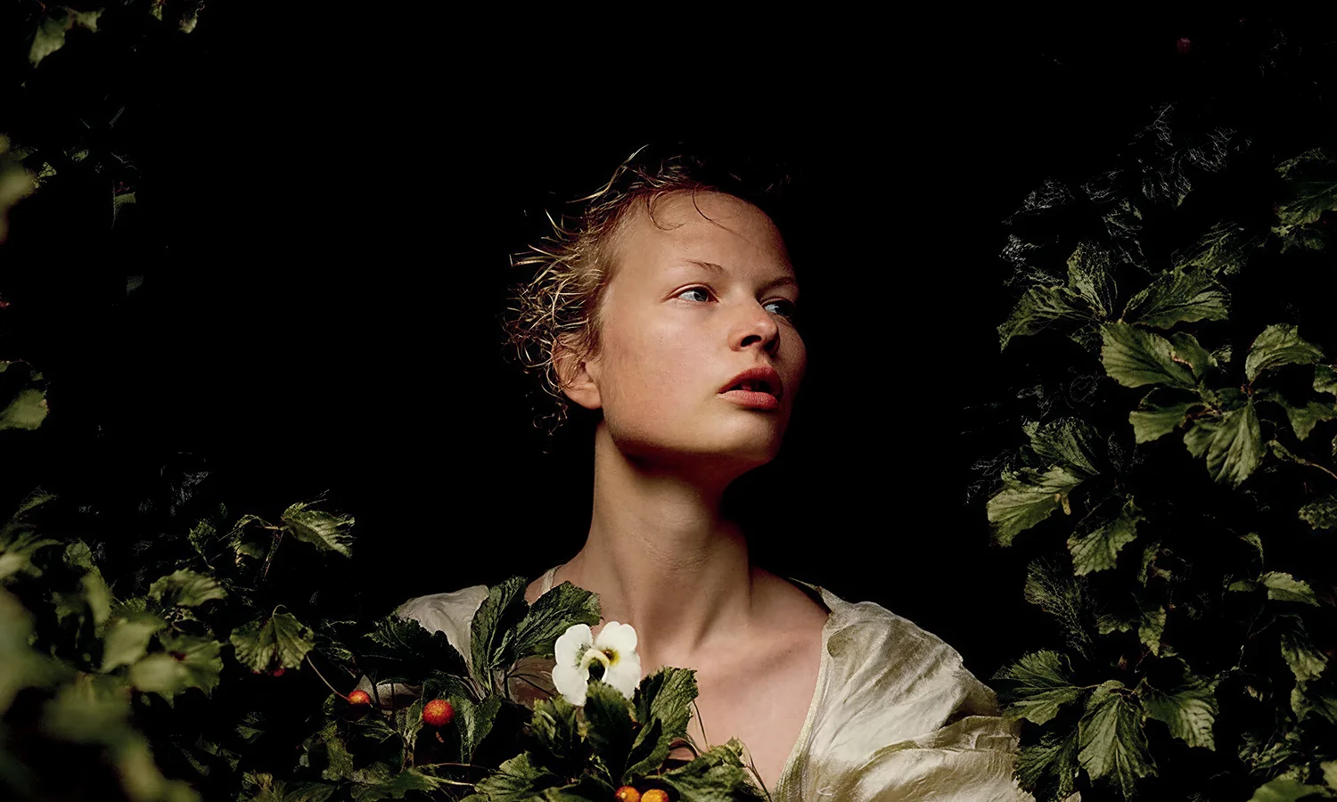 After the Garden